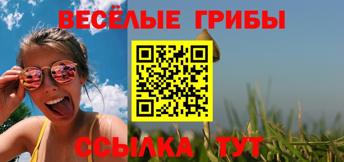 Псилоцибиновые грибы GOLDEN TEACHER Великий Новгород
